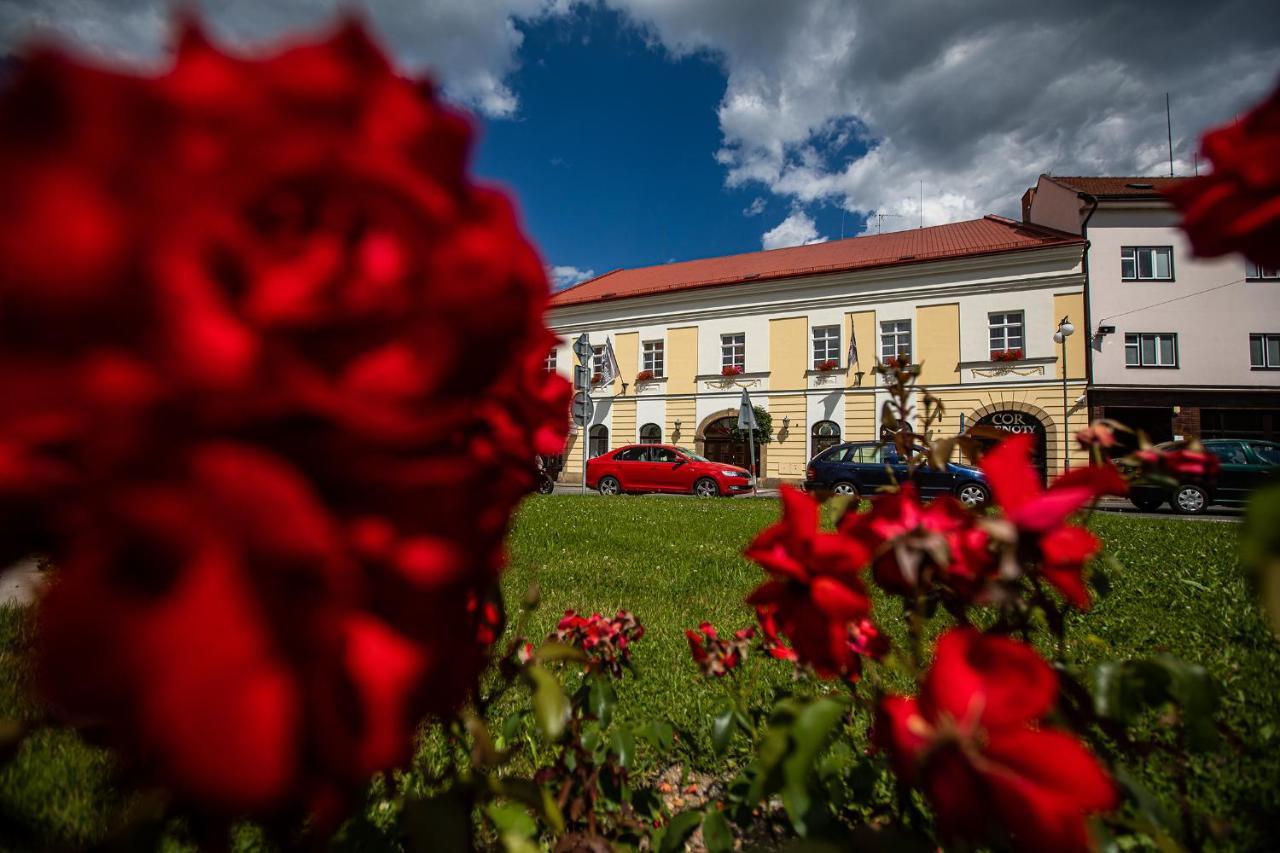 Penzion Satlava Nové Město nad Metují Buitenkant foto